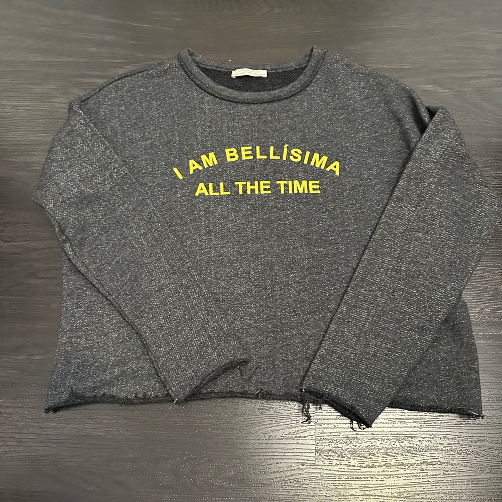 Zara Cropped Sweatshirt